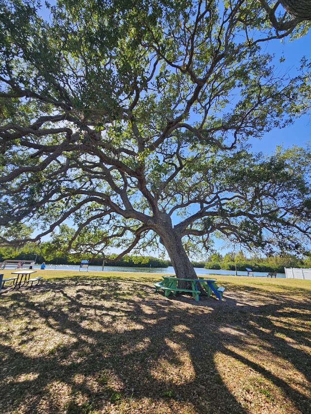 McNabb Park