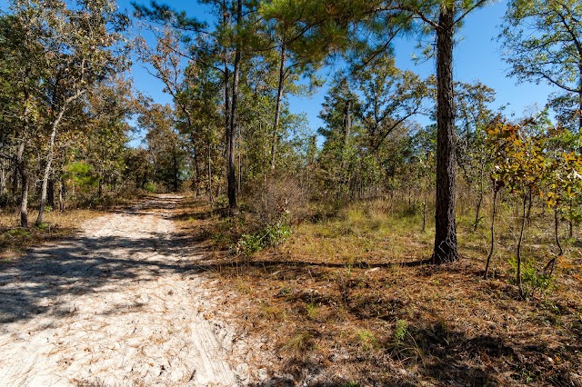 Black Creek Ravines Conservation Area
