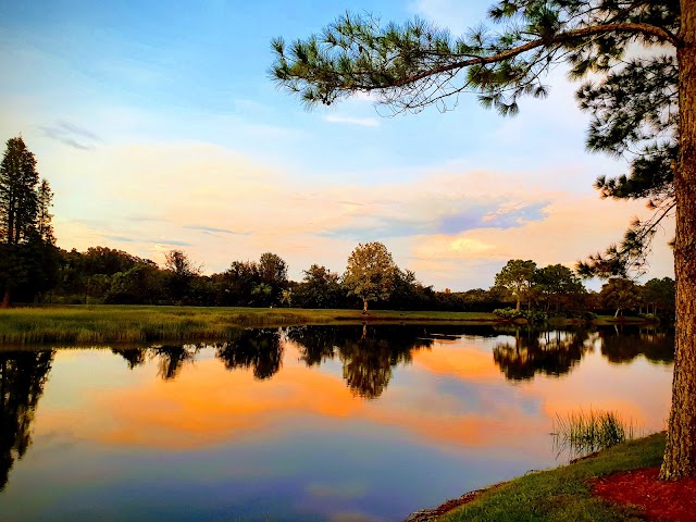Brandon Parkway Trail